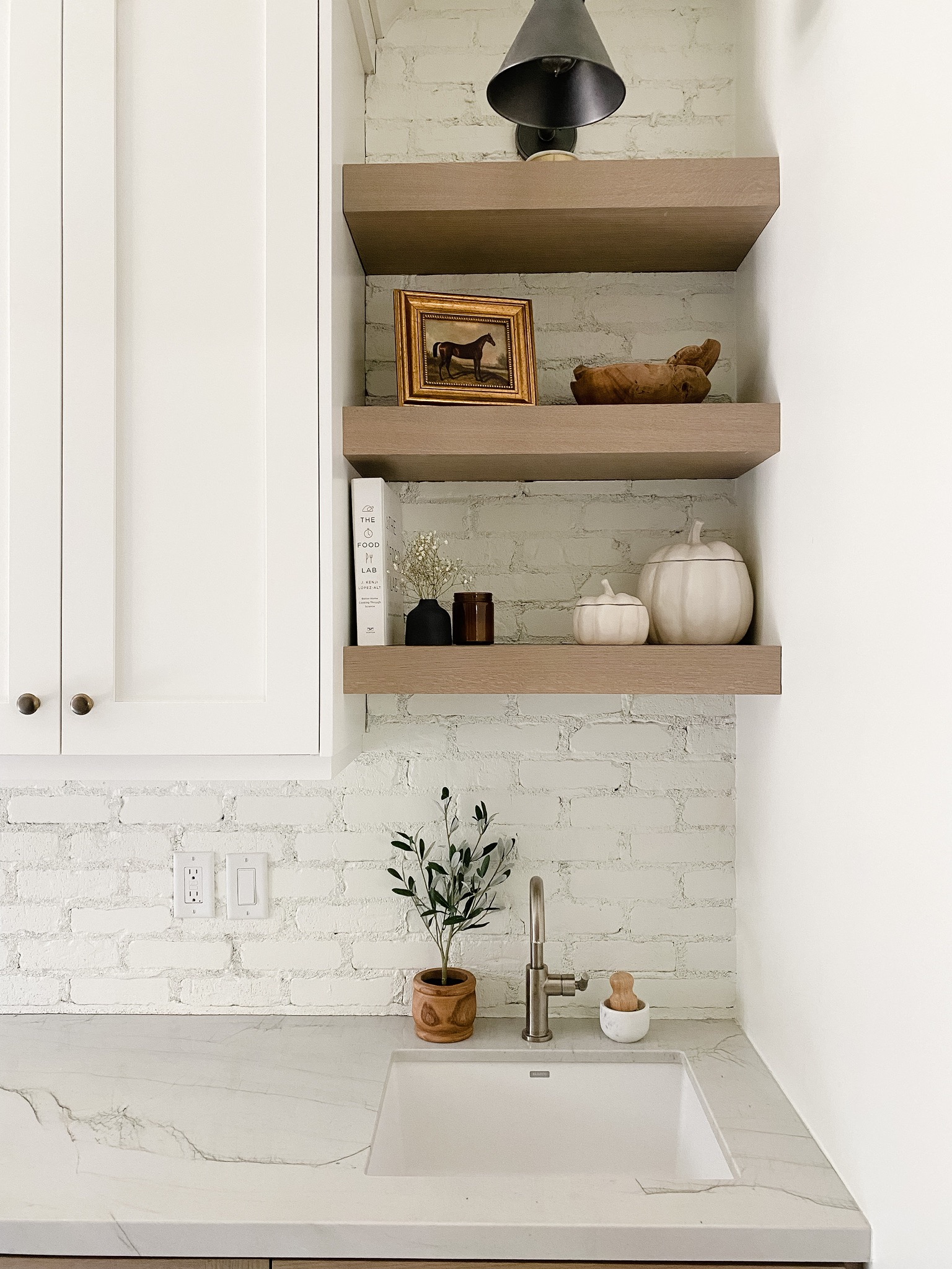 Our Kitchen Butler's Pantry and Appliances